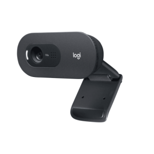 Logitech Webcam 960-001364 C505 Noir