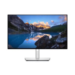 Dell Moniteur 210-AYUL U2422HE Argent 24