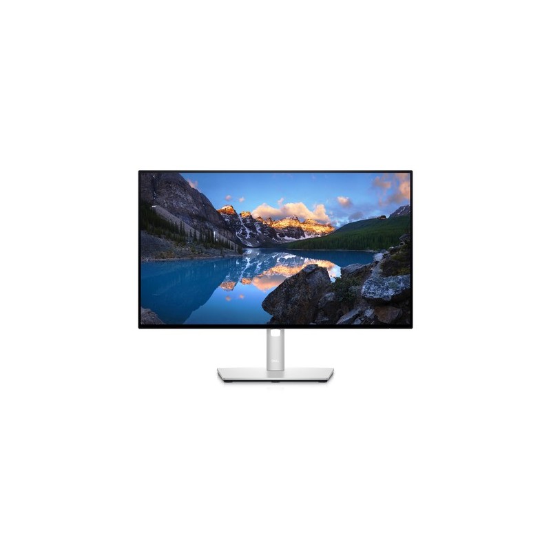 Dell Moniteur 210-AYUL U2422HE Argent 24