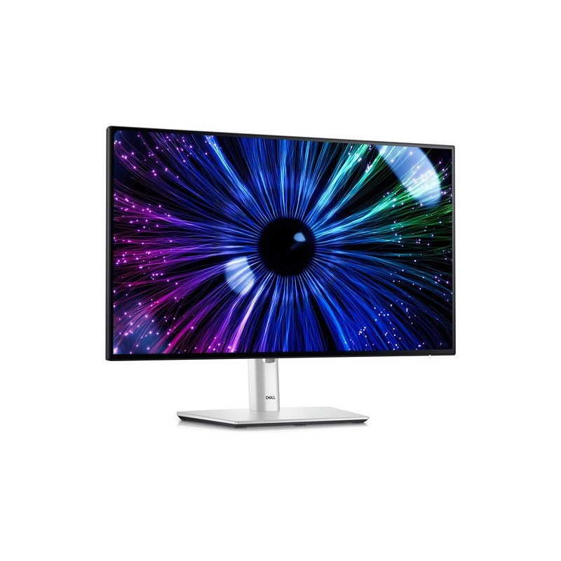 Dell Moniteur 210-BKJF U2424HE Argent noir