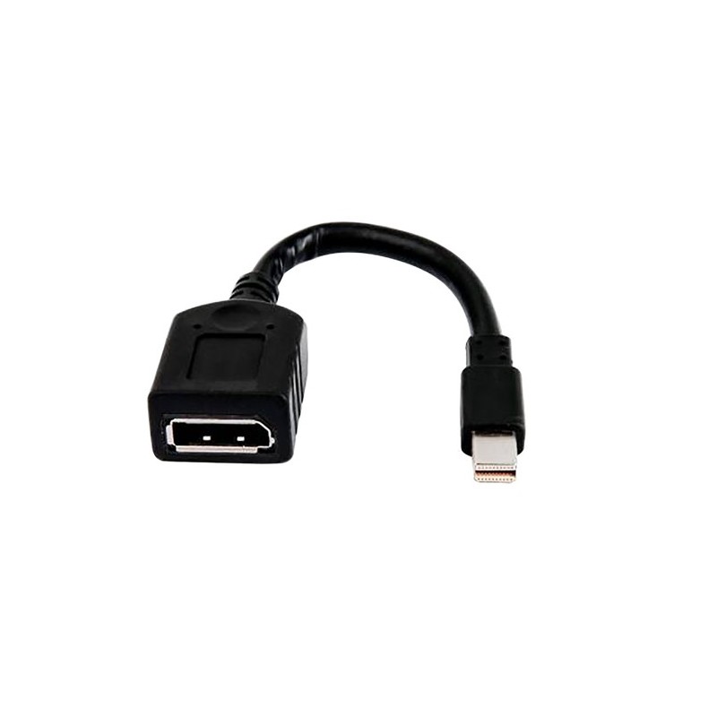 HP Adaptateur 2MY05AA DisplayPort to Mini DisplayPort Noir