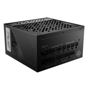 MSI Alimentation pour PC 306-7ZP7C11-CE0 / MPG A1000G PCIE5 Argent/noir