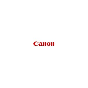 Canon Encre 0666C001 / GI-490Y Jaune
