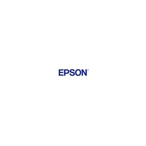 Epson Encre C13T40D140 / T40 Noir